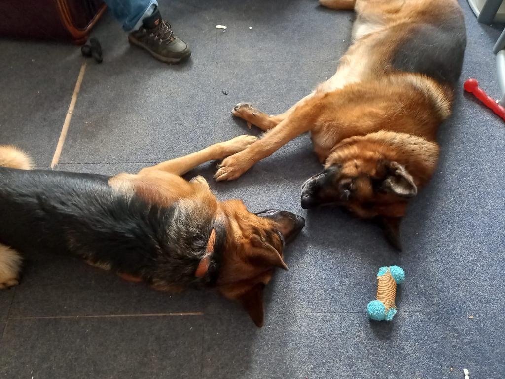 Yanis and Nuri sleeping on floor close to one another.